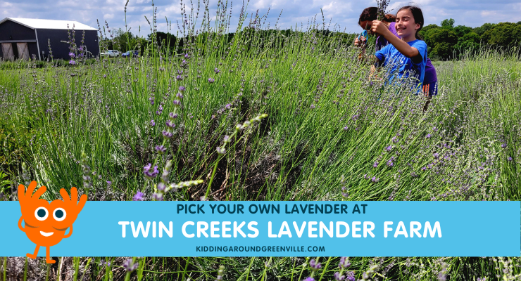 twin creeks lavender