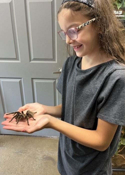Holding a tarantula