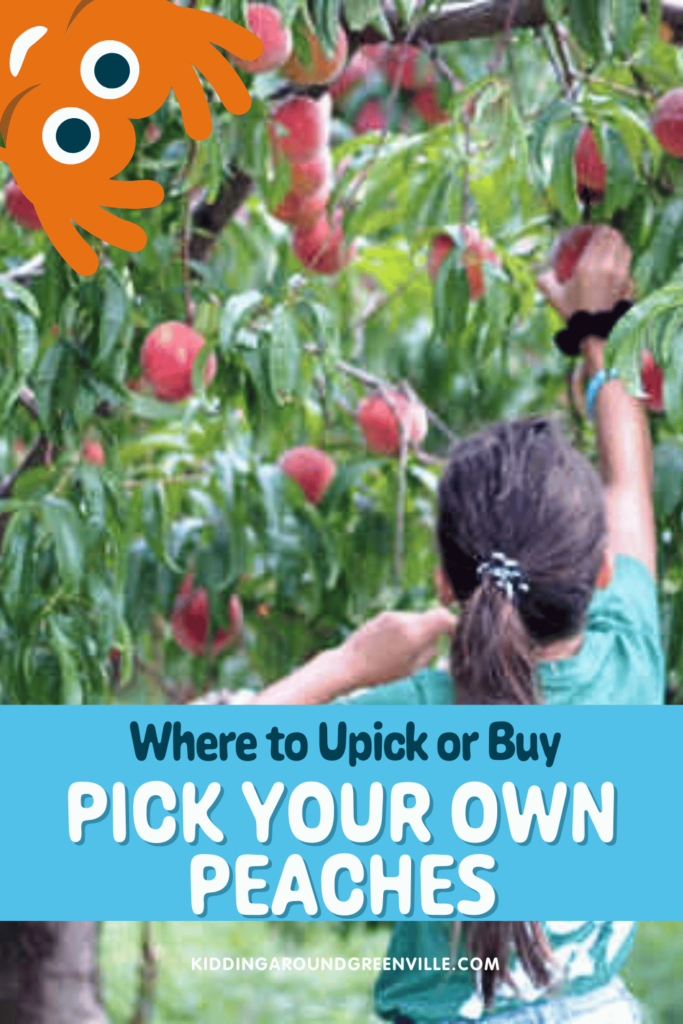 Pick your own peaches near Greenville, SC