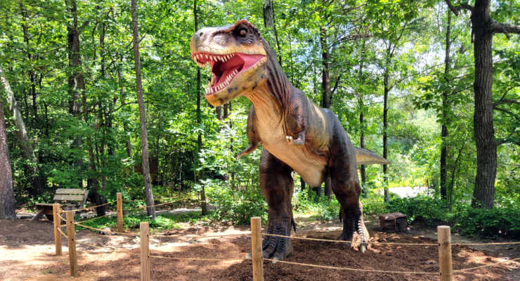 T-Rex on Dinosaur Trail at Roper Mountain Science Center