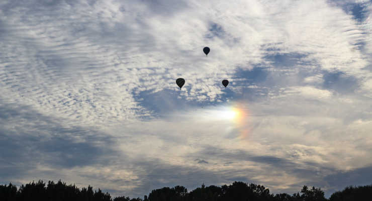 hot air balloons flying