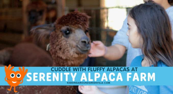 serenity alpaca farm
