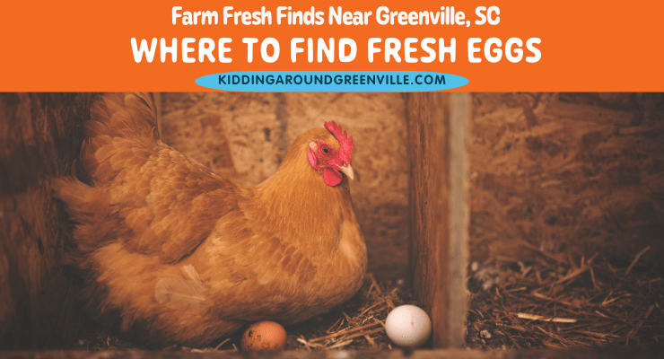 Where to buy fresh eggs near Greenville