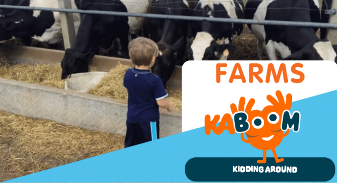 The best farms to visit near Greenville, SC