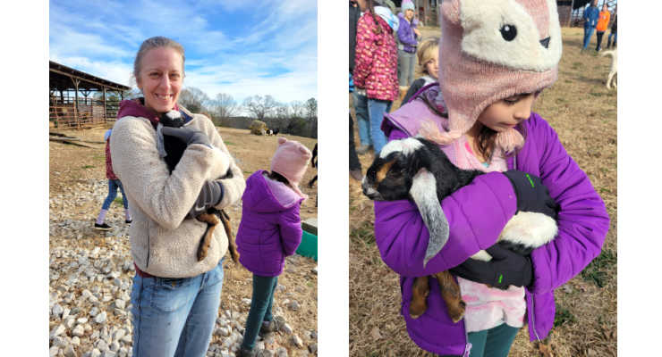 baby goats at whispering pines farm