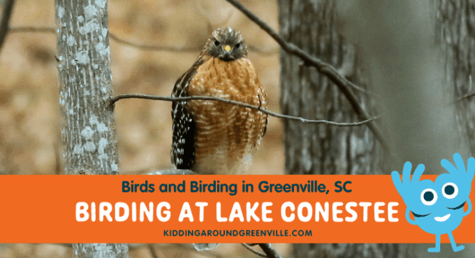 Birds and Birding at Lake Conestee Nature Preserve
