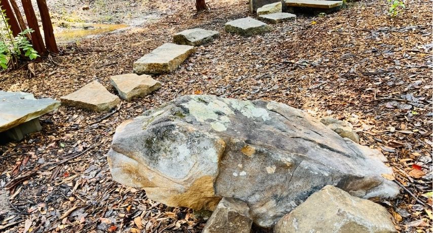 Adventure Trail at Hatcher Garden in Spartanburg, SC