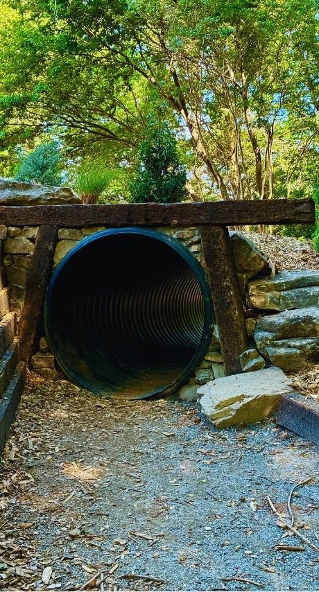Adventure Trail at Hatcher Garden in Spartanburg, SC
