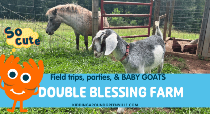 Double Blessing Farm