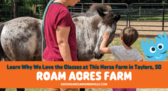 Our review and other classes at Roam Acres Farm in Taylors, South Carolina