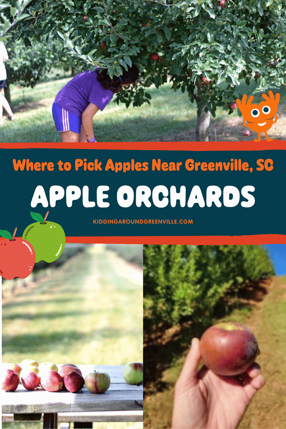 Apple Orchards Near Greenville, SC