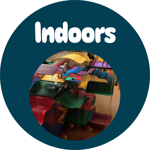 Things to do Indoors