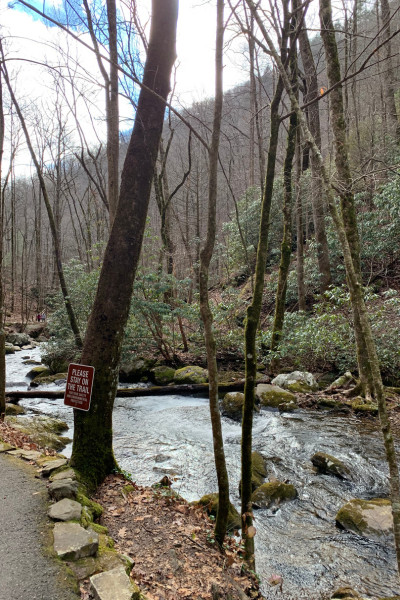 The trail is paved to Anna Ruby Falls