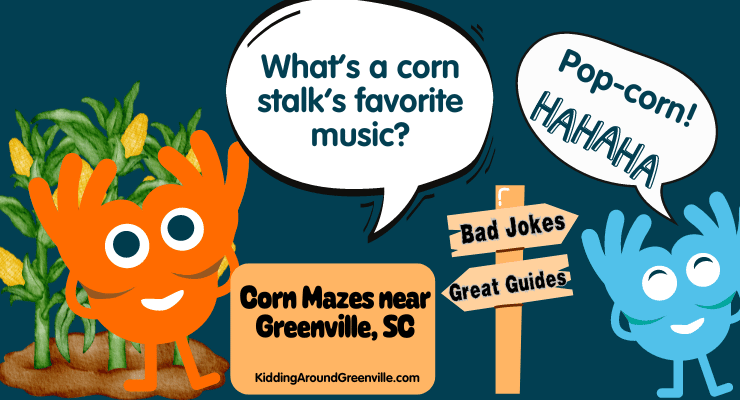 Corn Mazes in GReenville