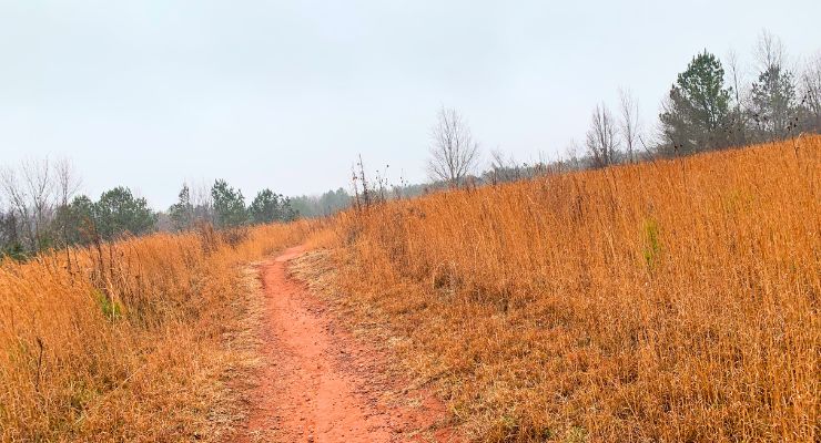 Mountain Biking trail at Holston Creek Park in Inman, SC
