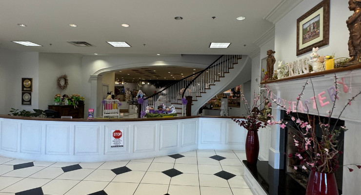lobby of babyland general hospital