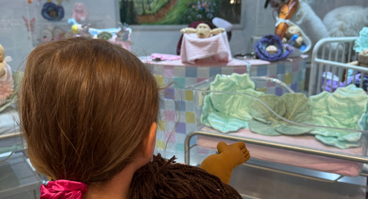 Babyland nursery
