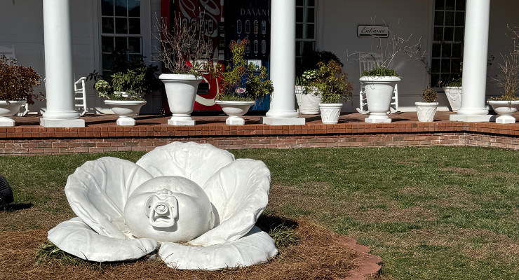 cabbage patch front grounds of Babyland General Hospital