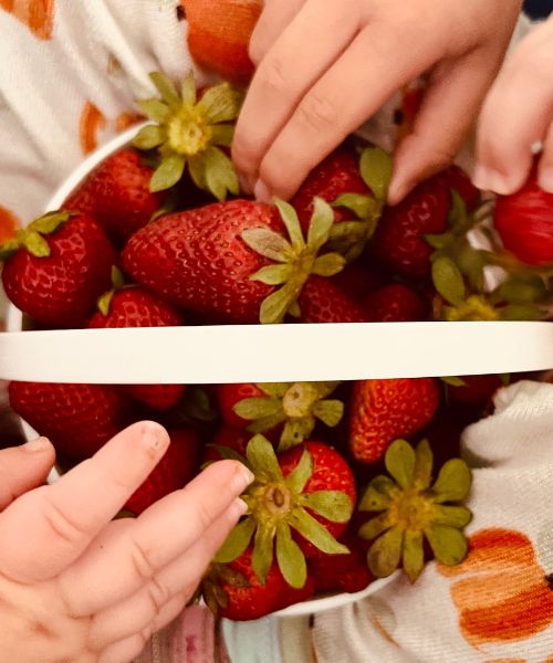 Greyrock Farms strawberries