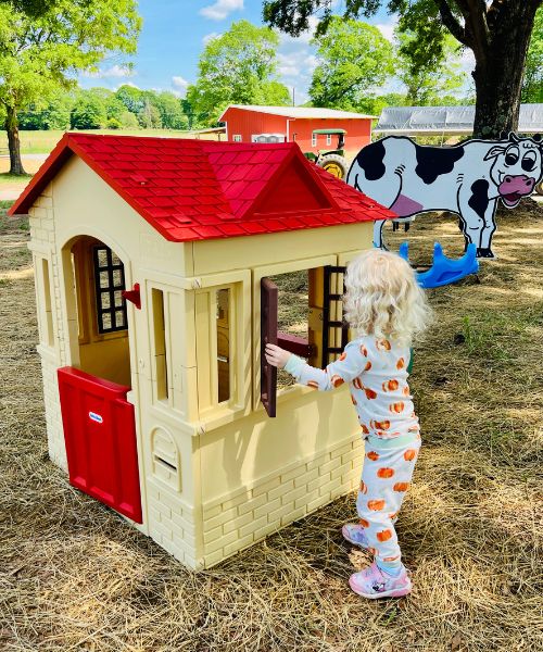 Playhouse at Greyrock Farms