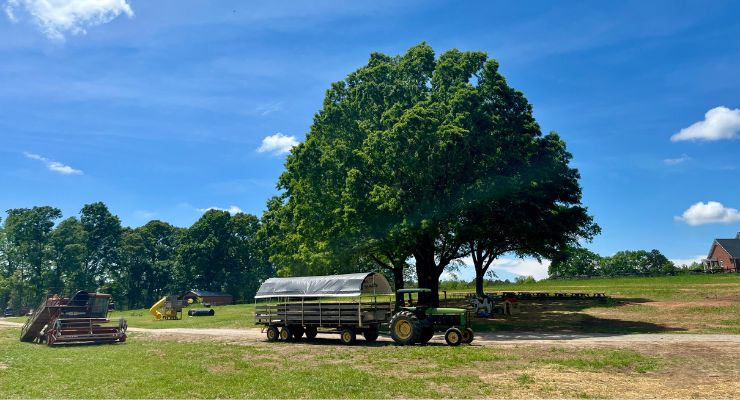 Greyrock Farms