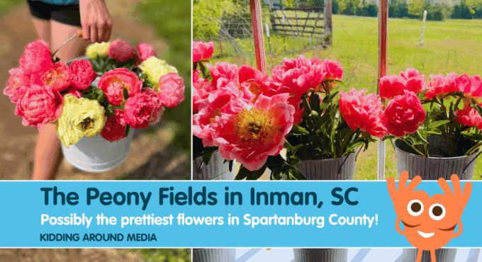 Featured photo for The Peony Fields in Inman, SC with full bouquets of flowers in a bucket and in vases by a window