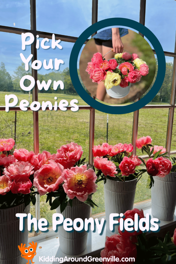 The Peony Fields in Spartanburg County, South Carolina