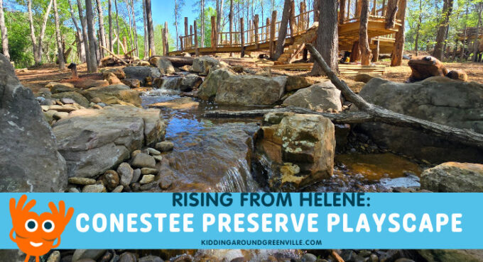 Conestee nature preserve playscape