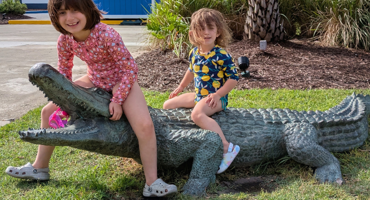 Alligator statue on Fripp Island