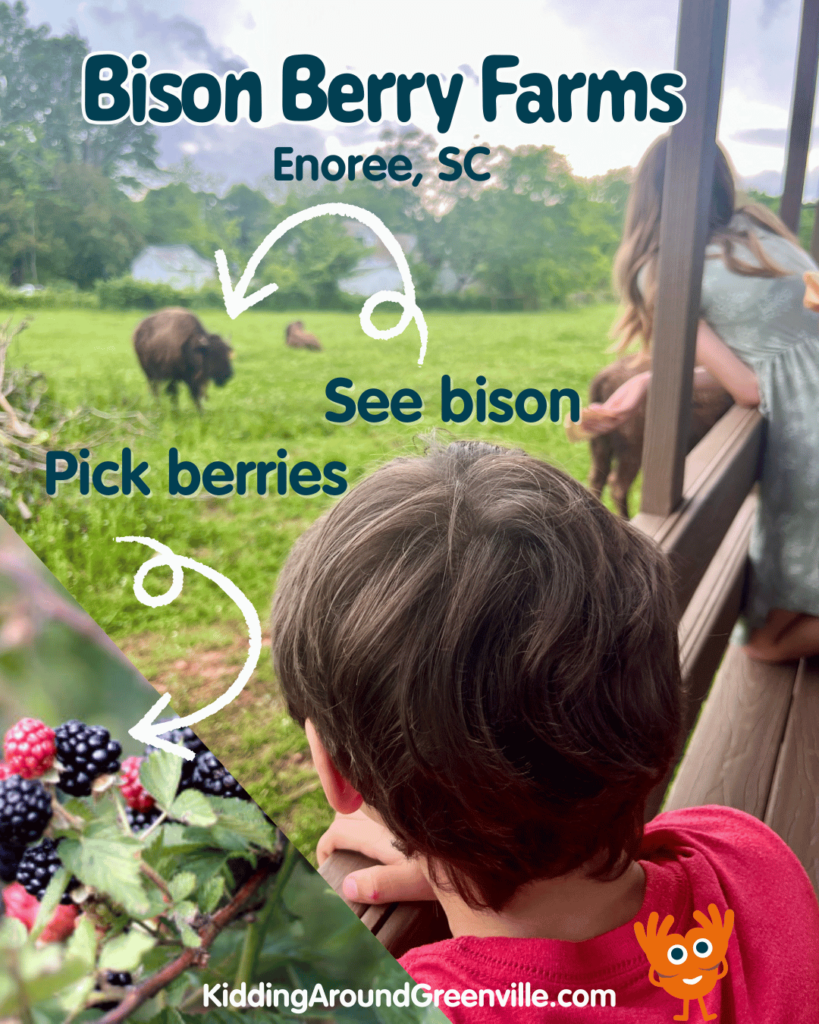 Bison Berry Farms