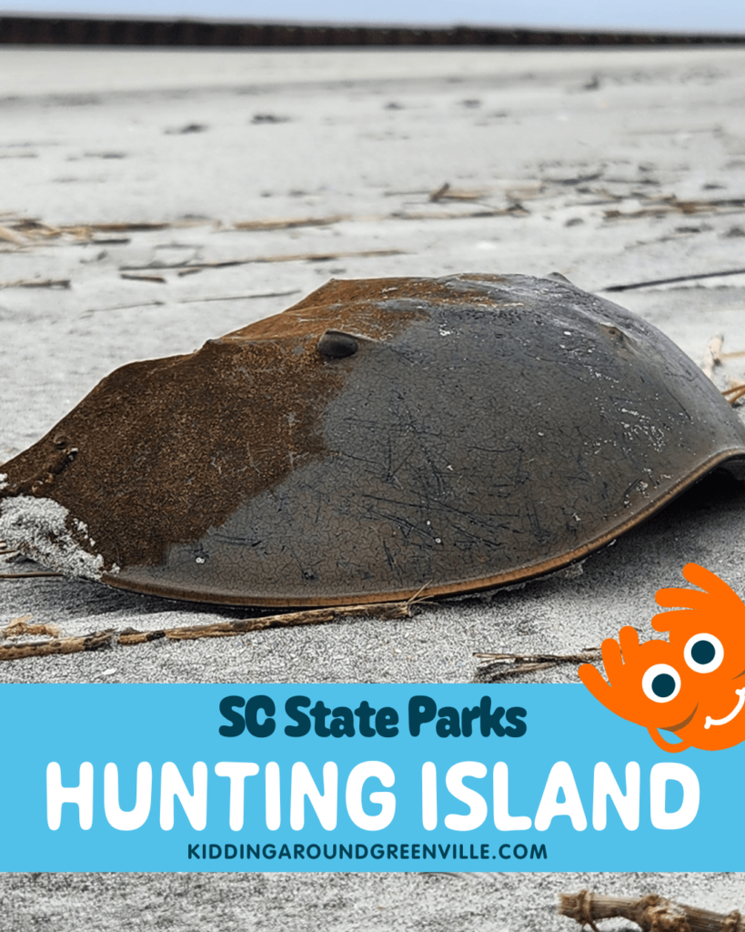 SC State Parks: Hunting Island