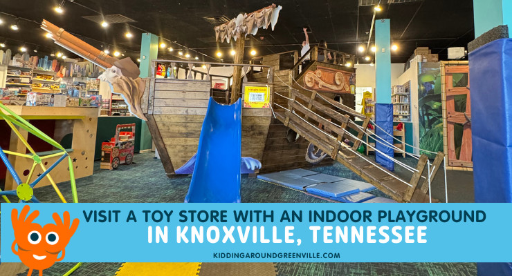 smart toys and books knoxville tn