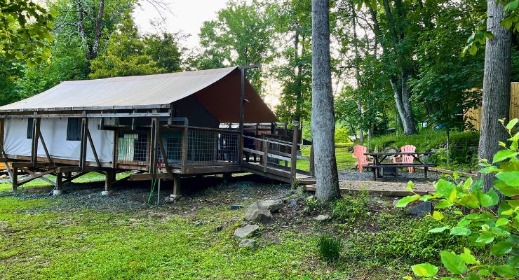 Wilderness Cove tent site