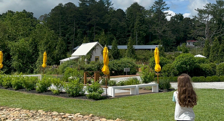 julep farms chicken coop and garden dillard ga