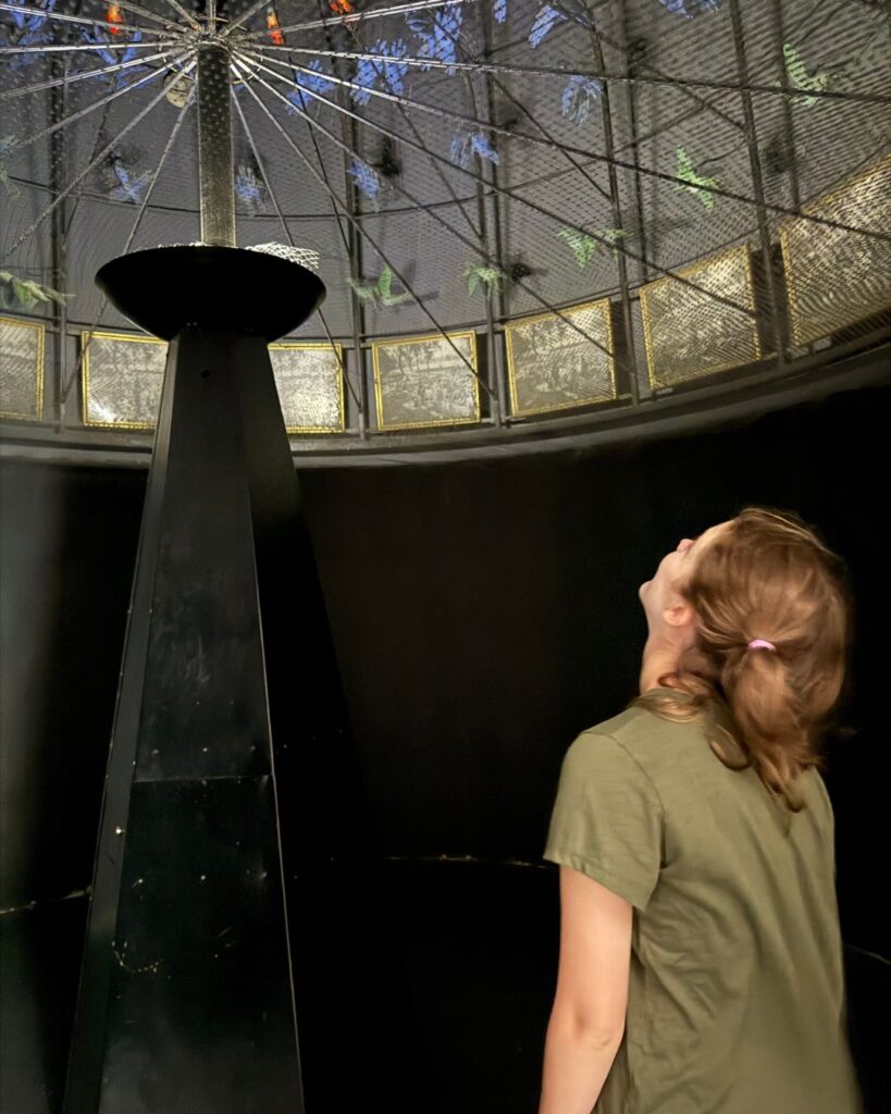 Creative Discovery Museum