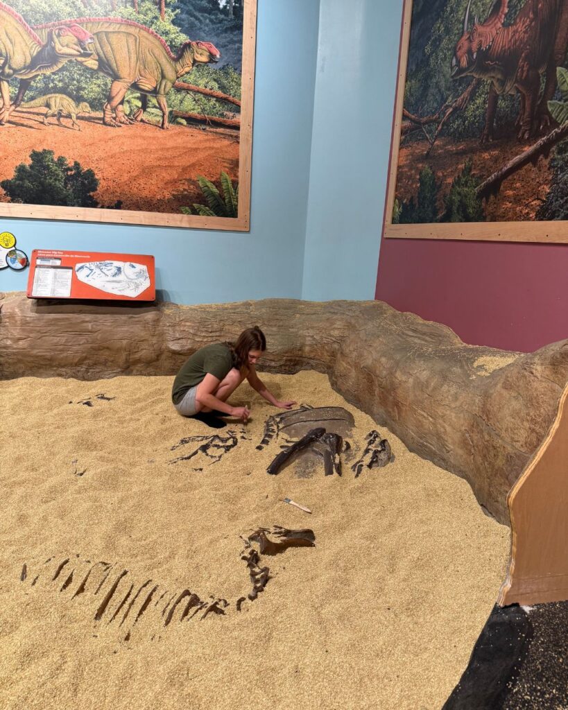 Dig for dinosaur bones at the Children's Museum in Chattanooga TN