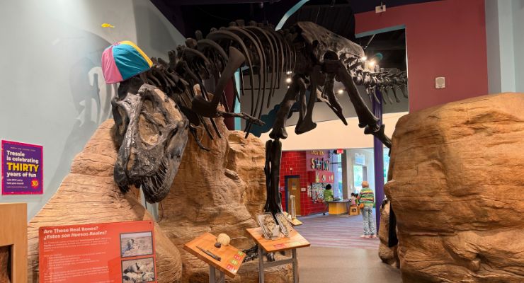Dinosaur at Creative Discovery Museum