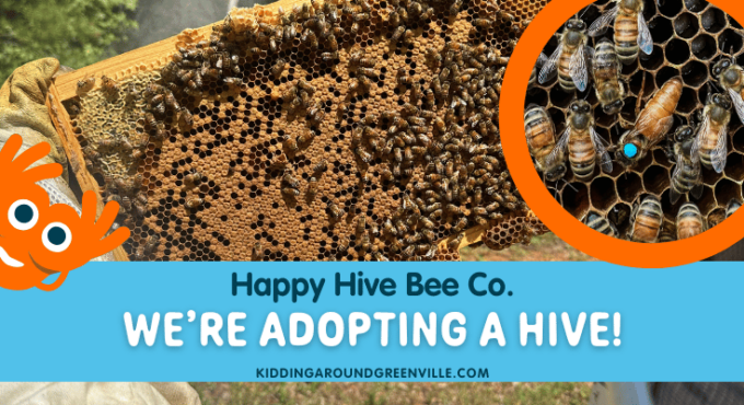 Happy Hive Bee Co