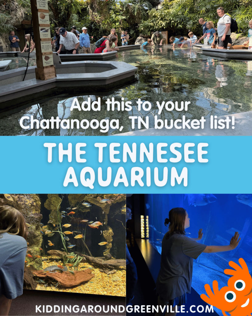 The Tennessee Aquarium