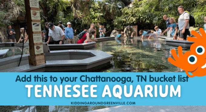 The Tennessee Aquarium