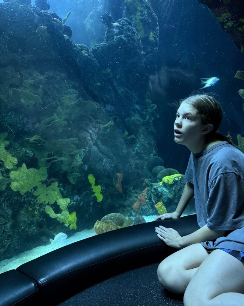 The Tennessee Aquarium