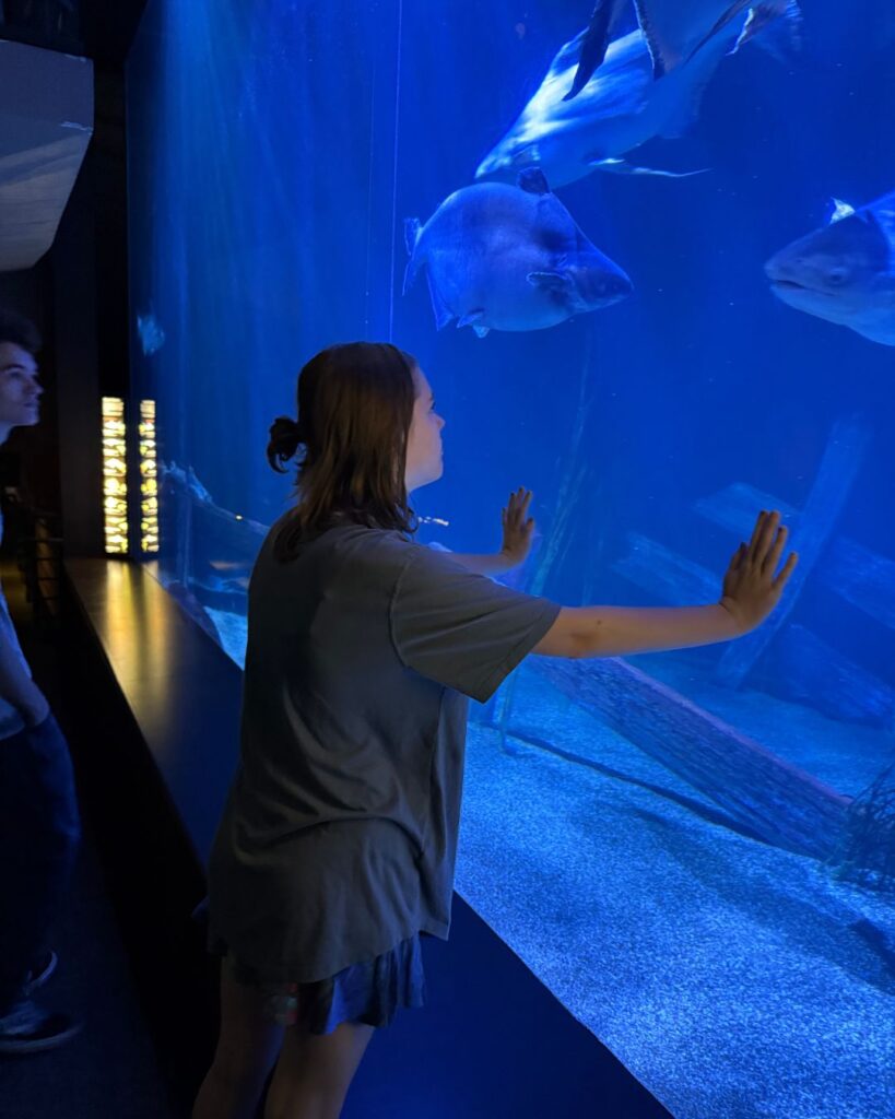 The Tennessee Aquarium