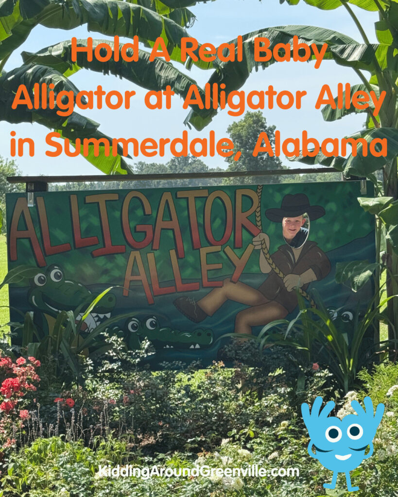 alligator alley