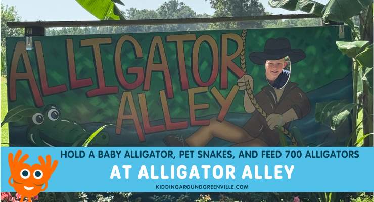 alligator alley