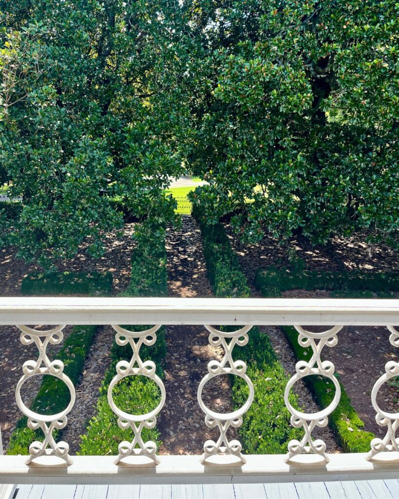 Rose Plantation