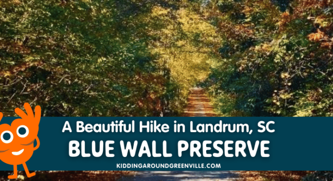 Blue wall Preserve