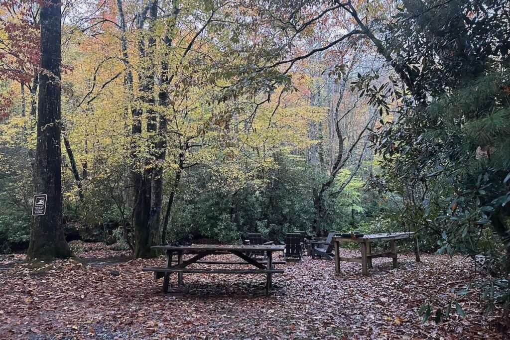 Picnic tables in the fall