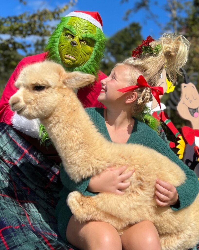 The grinch at Serenity Alpacas