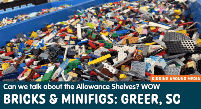 Bricks & Minifigs