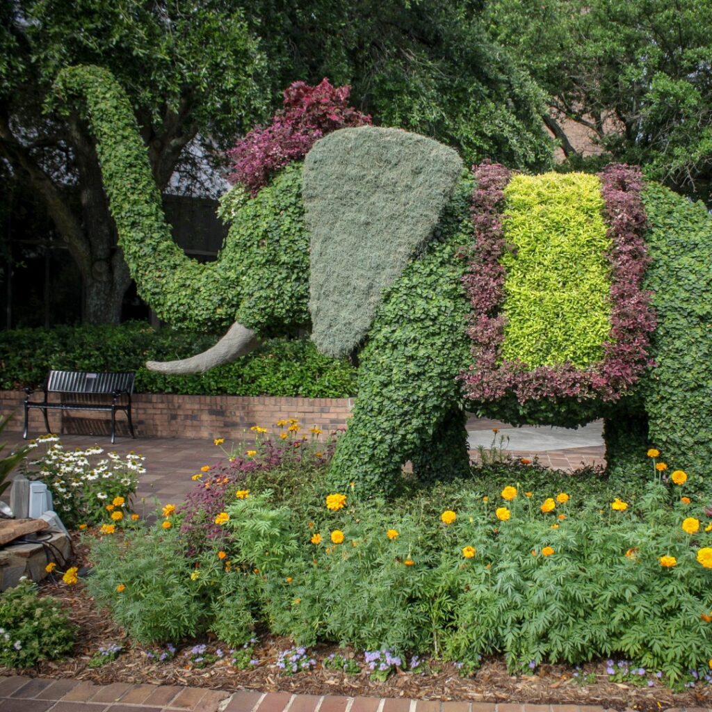 Elephant Topiary at SC Festival of Flowers 